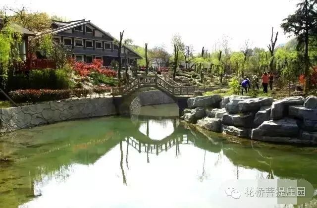 這個周末，隴南康縣花橋有大事要發(fā)生？