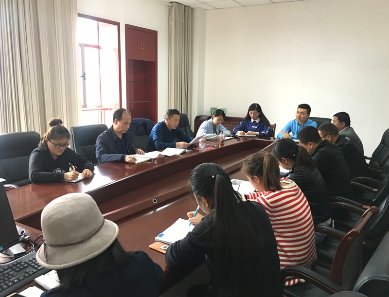 市龍江城鄉(xiāng)發(fā)展集團專題學習近期中央、省、市紀律檢查委員會議精神