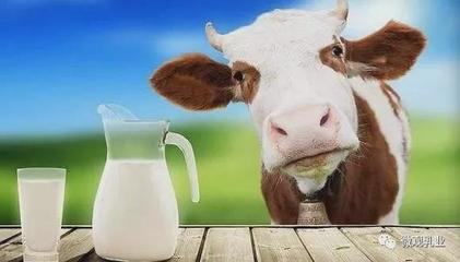 山东省发布2022年第一季度生鲜乳交易参考价:4.15元/公斤